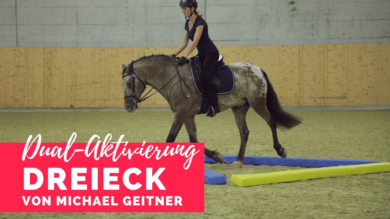 Dual-Aktivierung nach Michael Geitner - das Dreieck