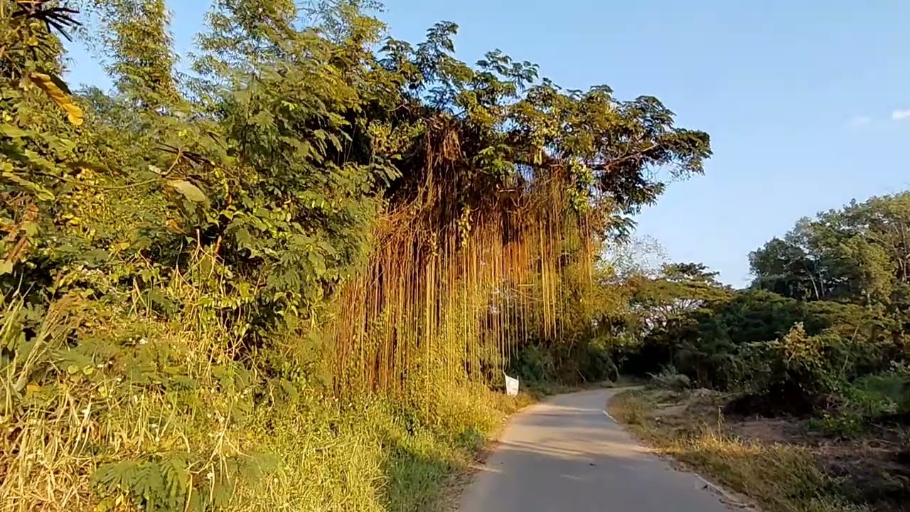 ชมบรรยากาศชนบท ชมวิวสองข้างทาง