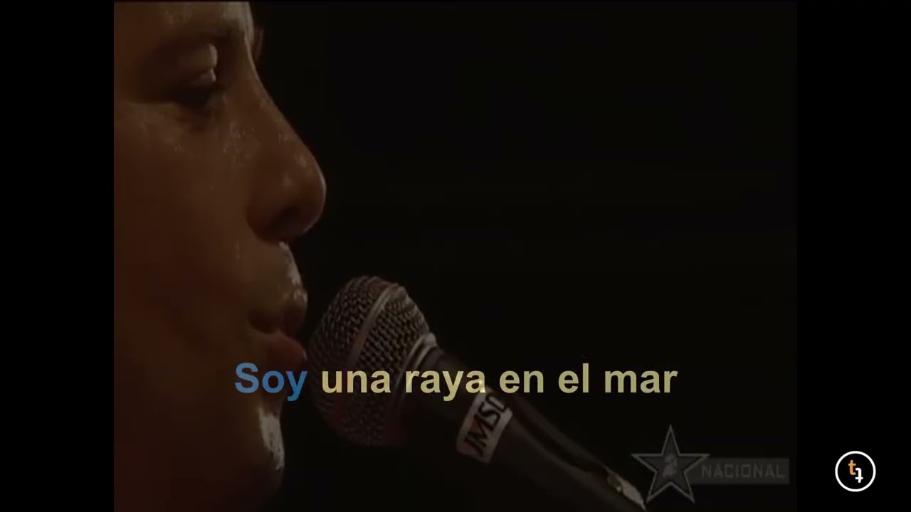 Manu Chao - Clandestino Live (Karaoke)