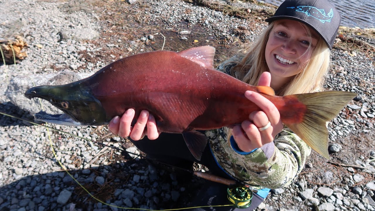 Giant Kokanee On the Fly! Plus Splake and Rainbows!