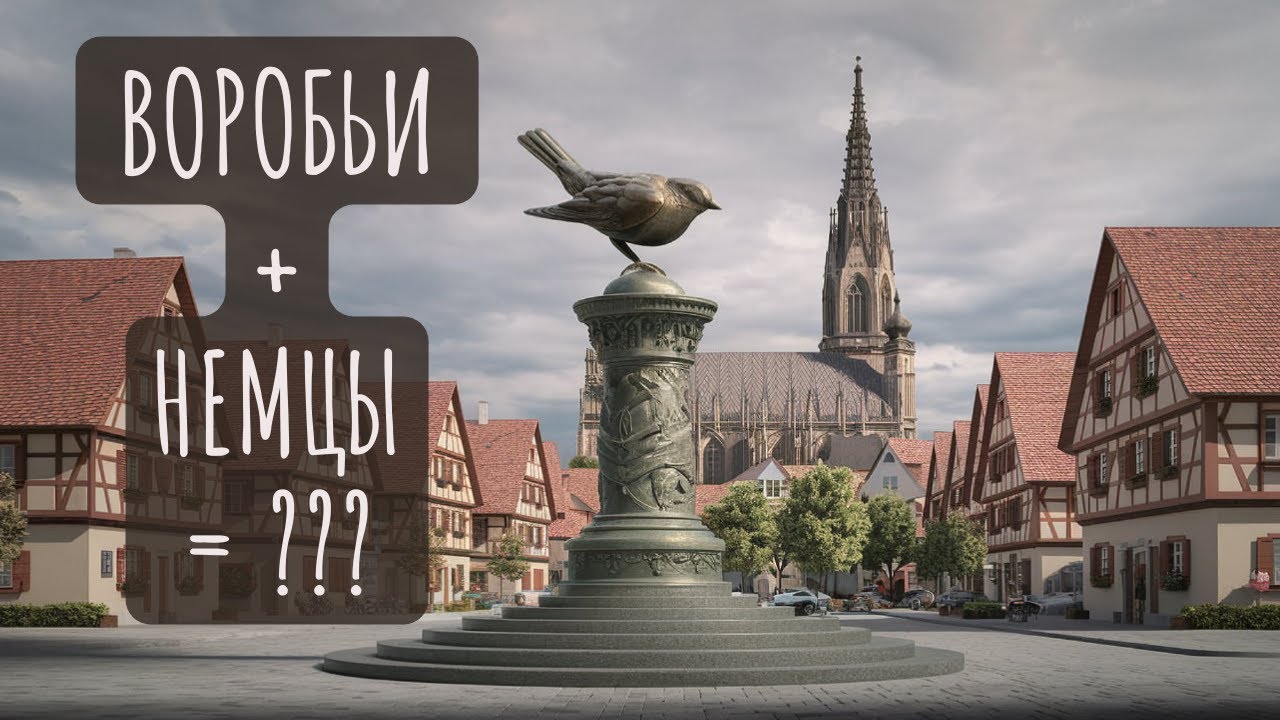 Формула города Ульма | Германия