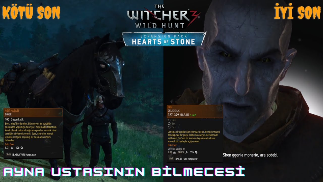 Ayna Ustasının Bilmecesi Tüm Sonlar | The Witcher 3