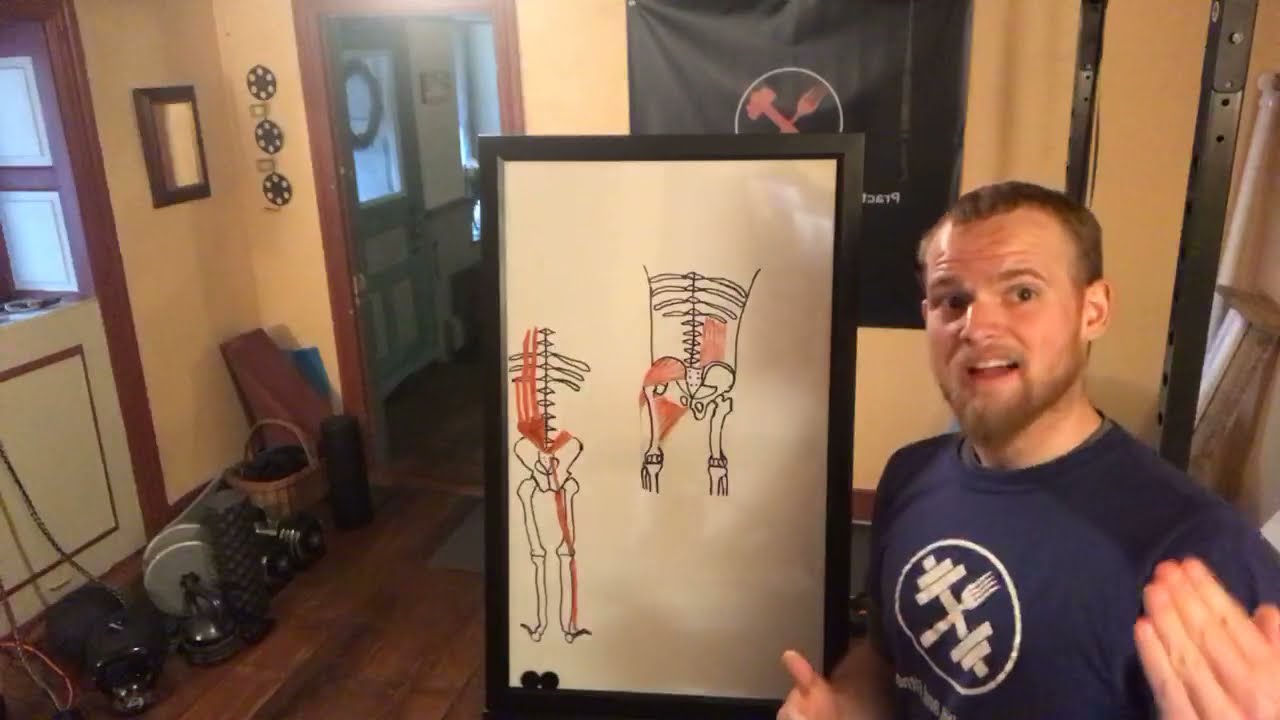The Subsystems within the Muscles Pt. 2