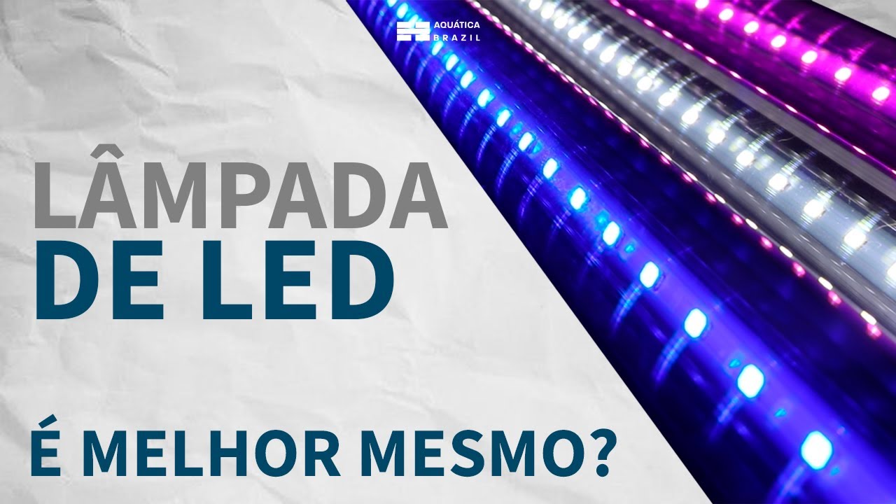 POR QUE USAR LED NO AQUÁRIO? Saiba tudo sobre!