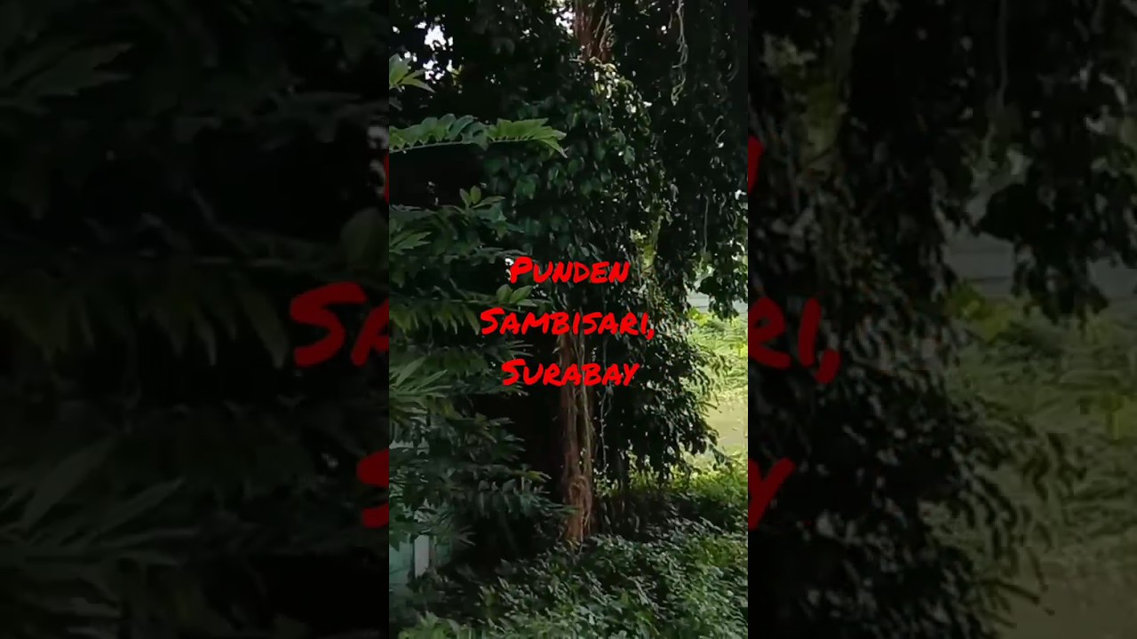 Punden Sambisari, Surabaya #keramat