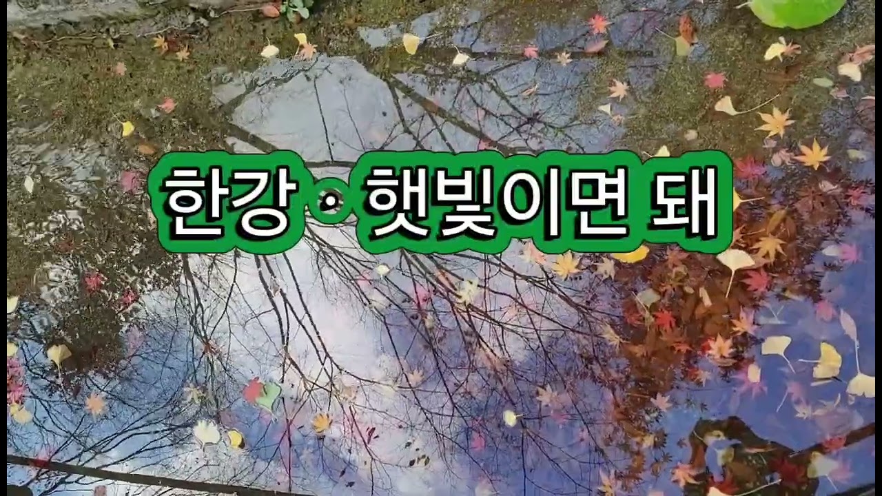 노벨문학상ㆍ한강 작가 노래 2곡 3회 연속 듣기 #한강 12월 이야기 햇빛이면 돼 #채식주의자 #소년이온다 #hankang nobel prize for literature
