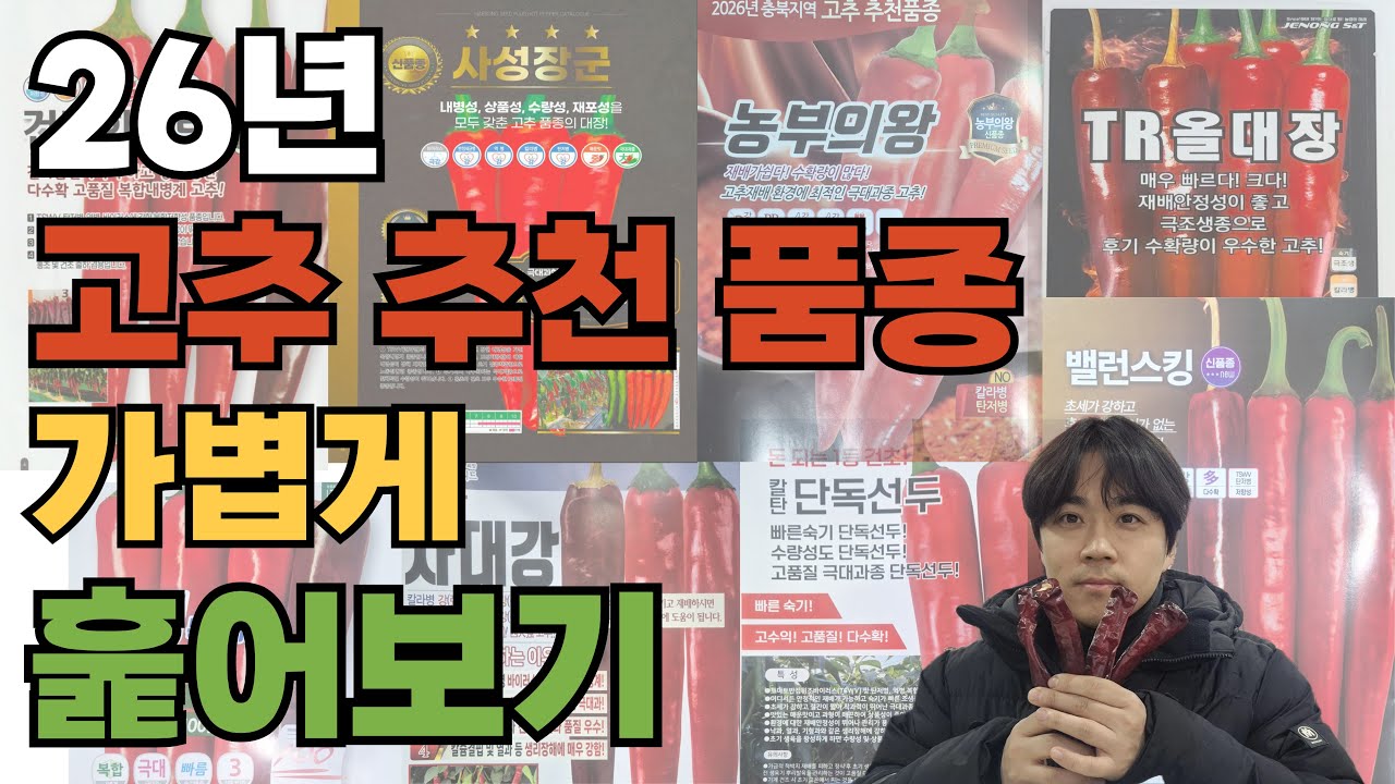 ep46 26년 고추 추천 품종 가볍게 훑어보기🌶
