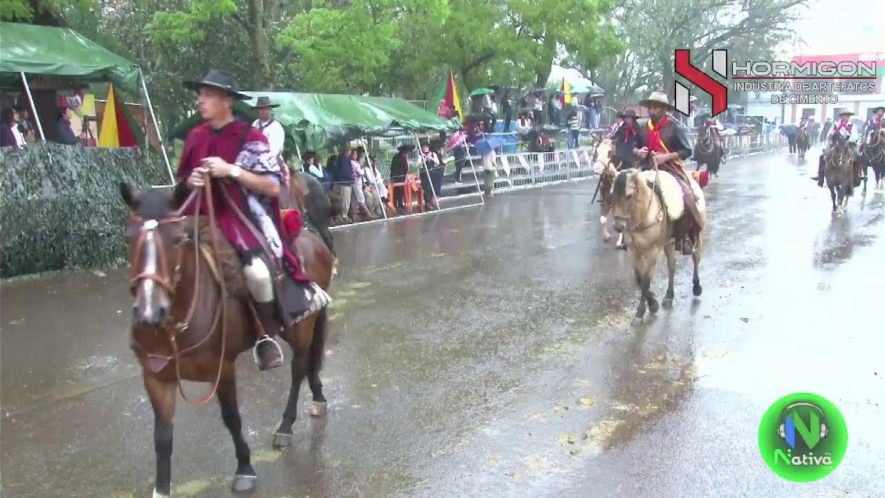 Transmissão ao vivo de Portal Alegrete Tudo