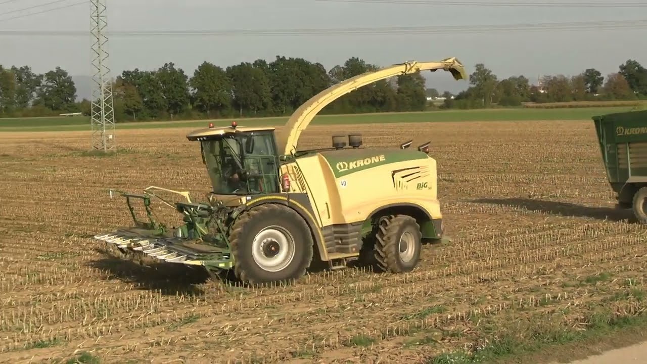 Lohnunternehmen Zeiler: Zwei Krone BiG X 780 beim Mais häckseln für die BGA Aiterhofen