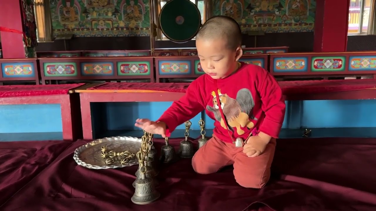 Yangsi Garje Khamtrul Rinpoche this evening on 27/04/2024