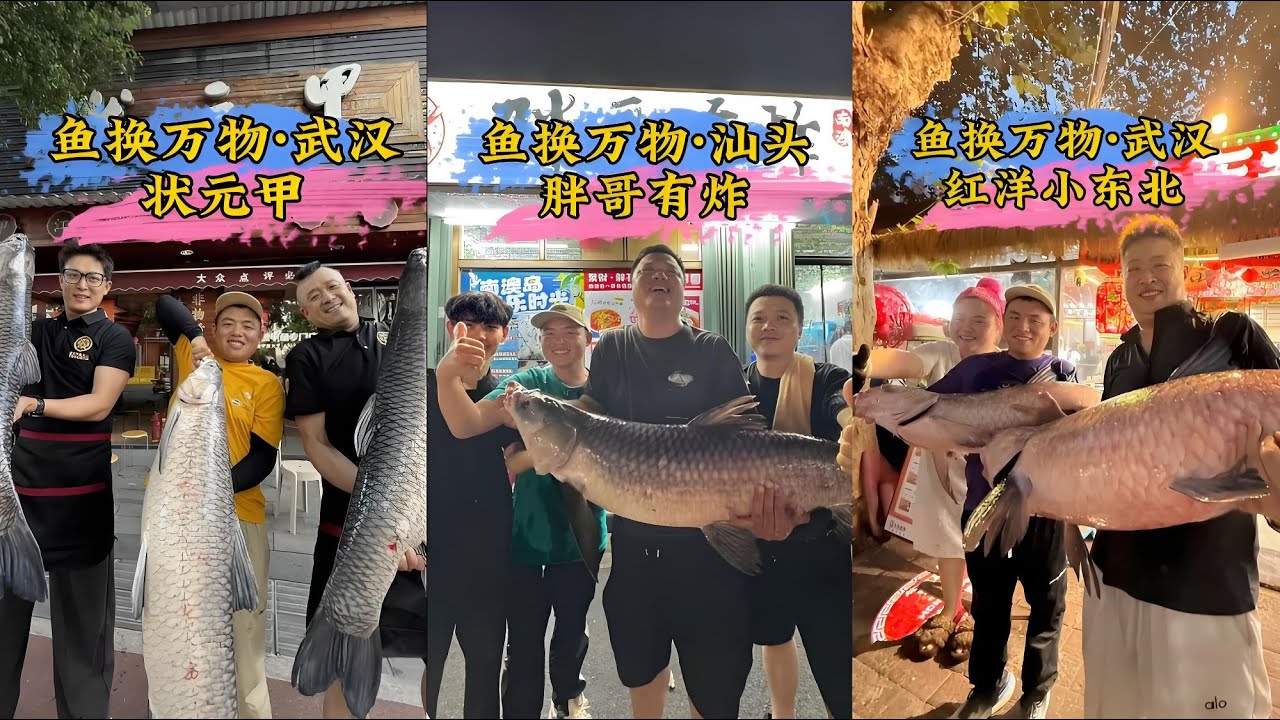 钓鱼交换美好武汉篇：三条大青换甲鱼，没想到老板也是钓鱼人，你们觉得老板亏不亏？钓鱼交换美好汕头篇：50+巨青换海鲜，你们觉得老板亏不亏？