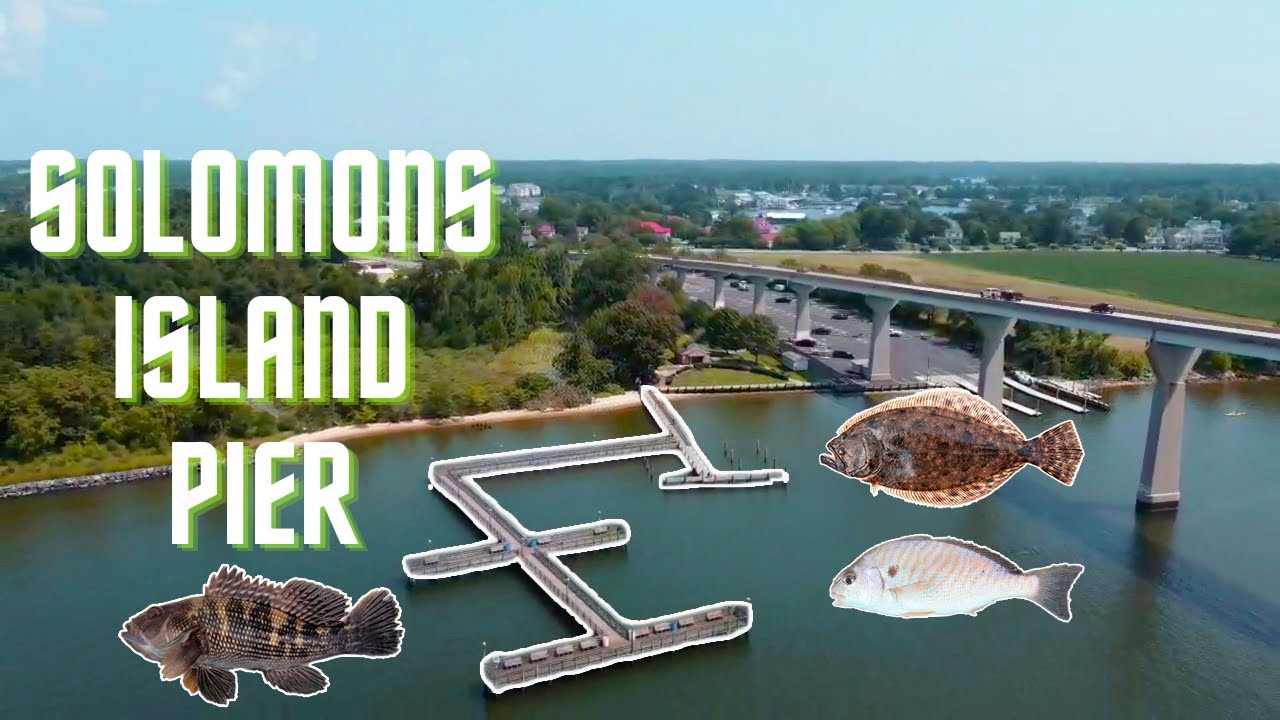 Fishing Solomons Island Pier | Chesapeake Bay MD (Seabass, Flounder, Spot)