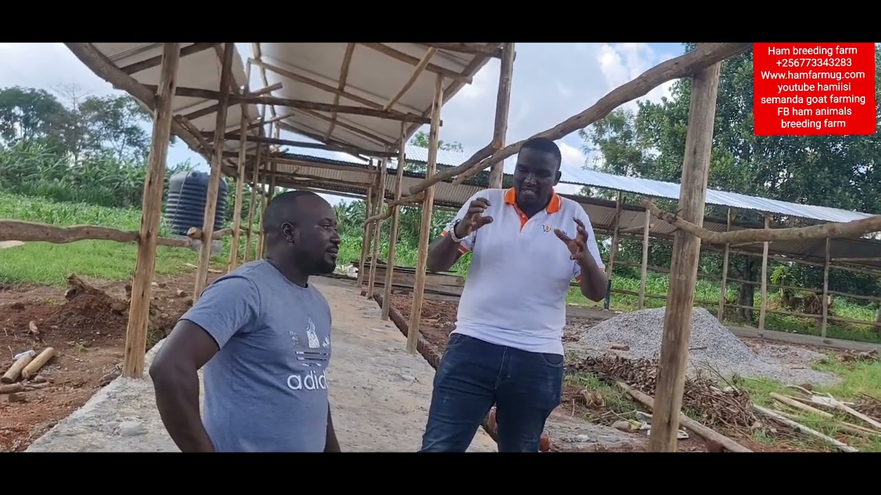 feed storage and feedlot set up by hamiisi and Brian +256773343283