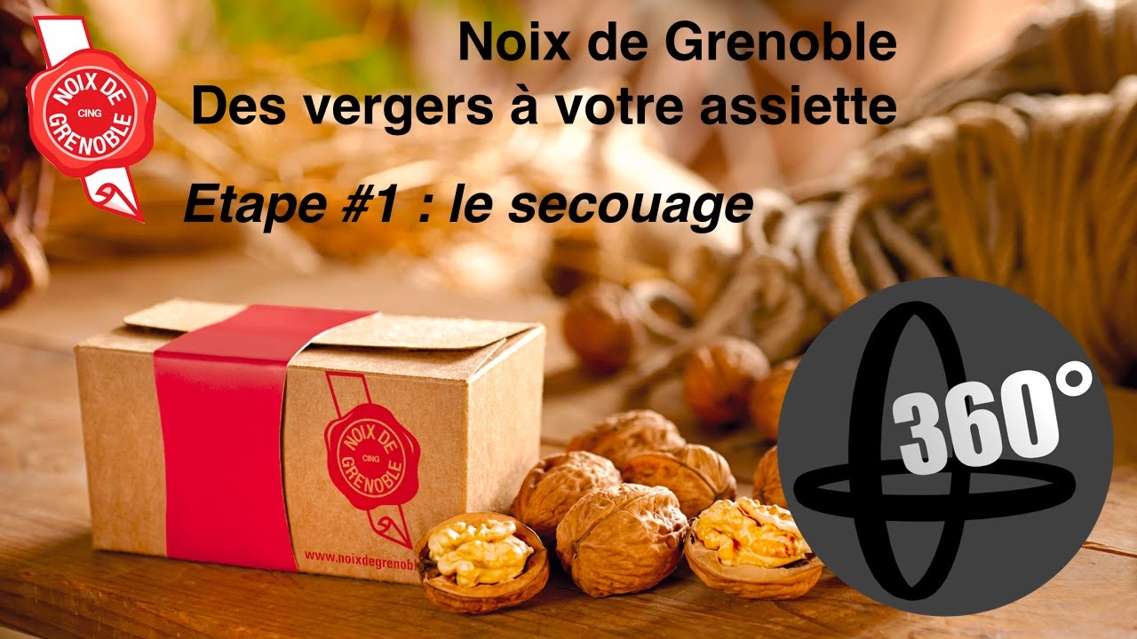 Ramassage des Noix de Grenoble - S&eacute;quence#1 : Le 