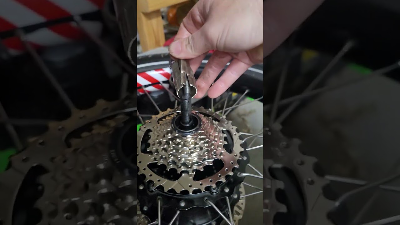 radwagon 4 freewheel removal / replacement