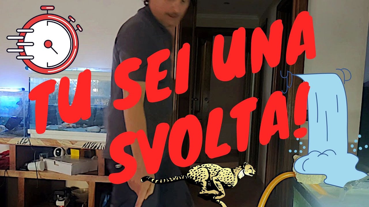 CAMBIO ACQUA FACILE E SICURO 💧:  5 Acquari in un Lampo ⚡ con Pompa di Risalita 2000 l/h ⛲