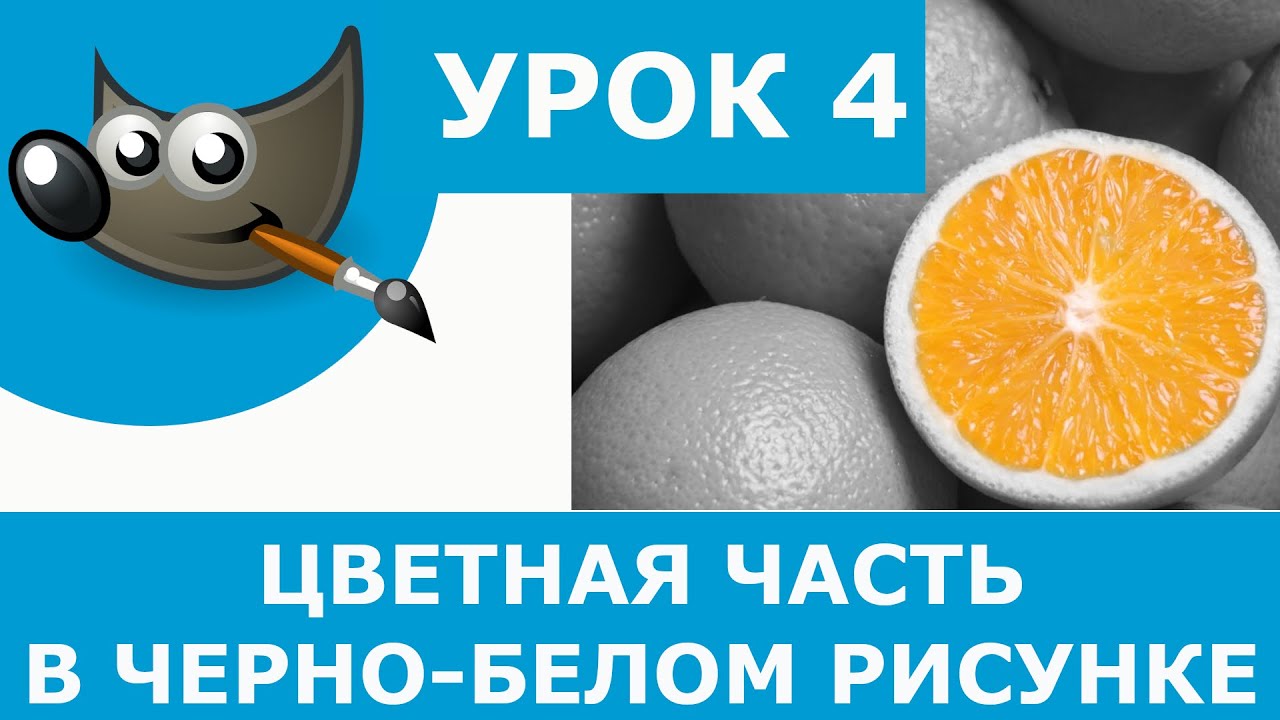 Как сделать изображение чёрно-белым и выделить цветную часть | Gimp 2  Урок 4