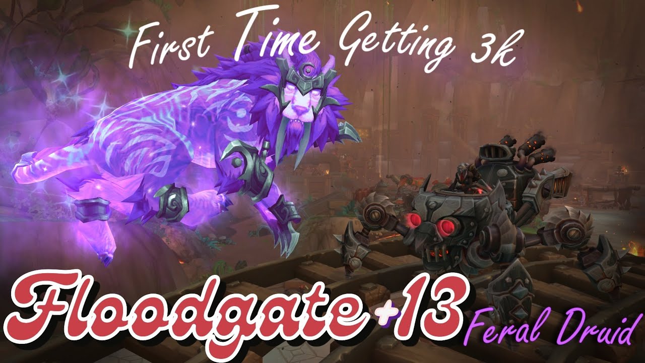 Feral Druid Floodgate +13 - My First Time Getting 3k