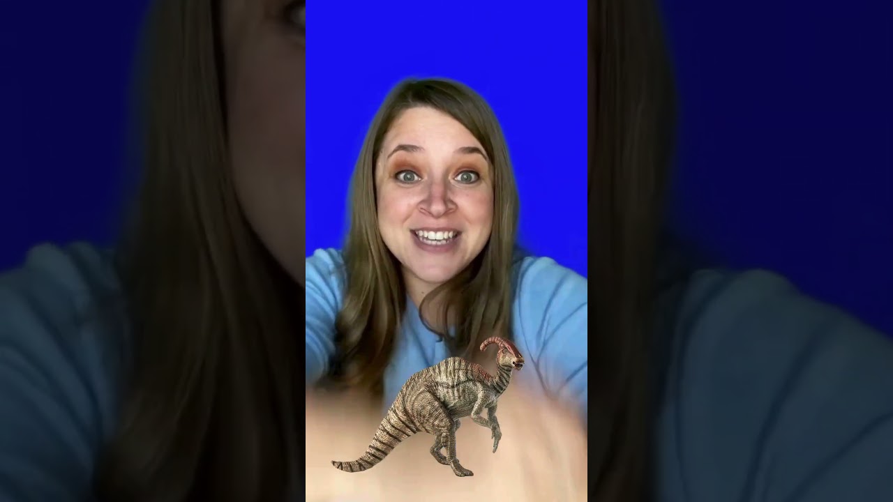 Opposites Songs for Preschoolers 🦕#kidssongs