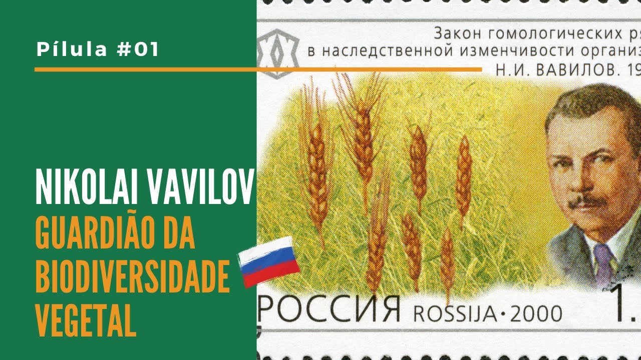 Nikolai Vavilov: o primeiro guardião da biodiversidade vegetal