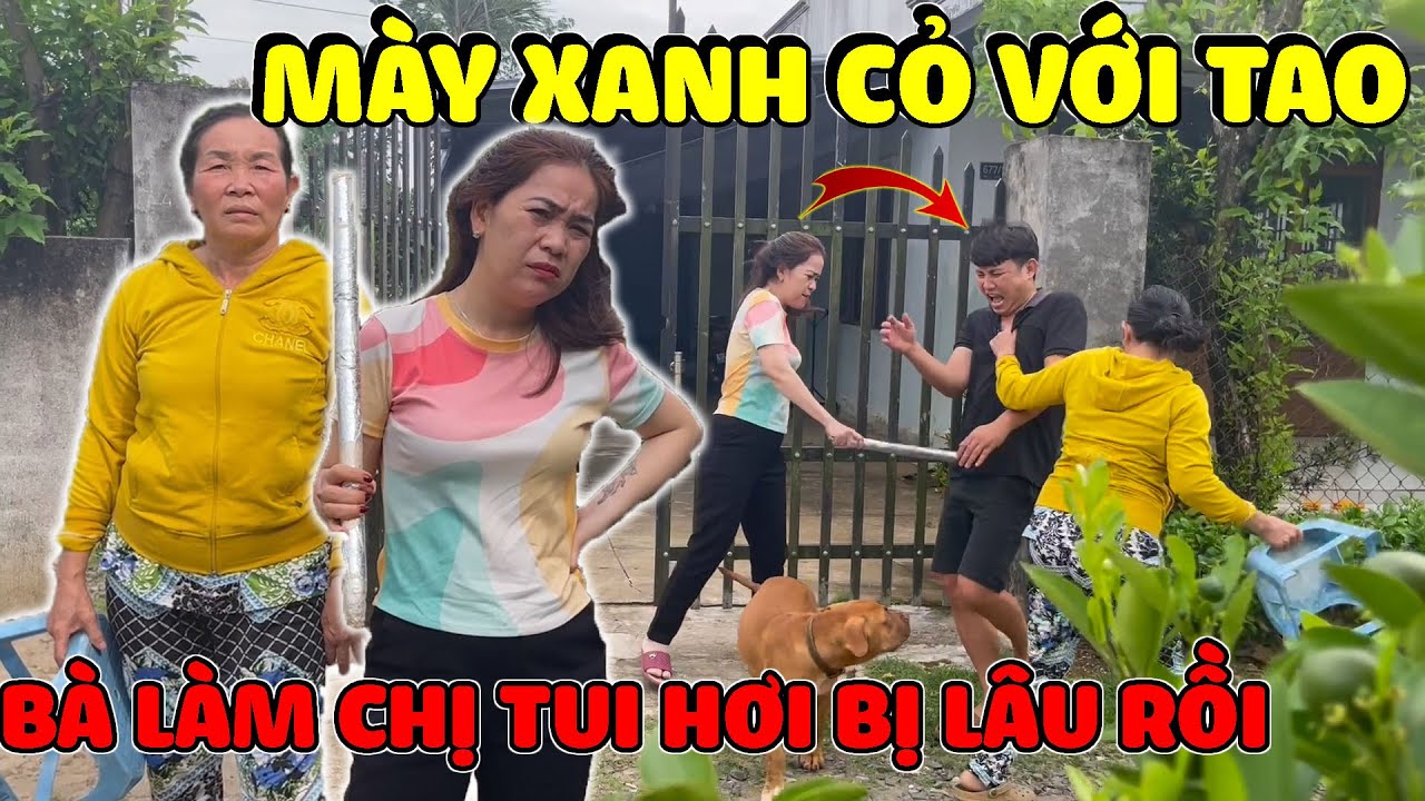 Yến Báo Gài Bẫy Làm Ba Báo Bị Ăn Đập Te Tua Với Bà Linh Ế