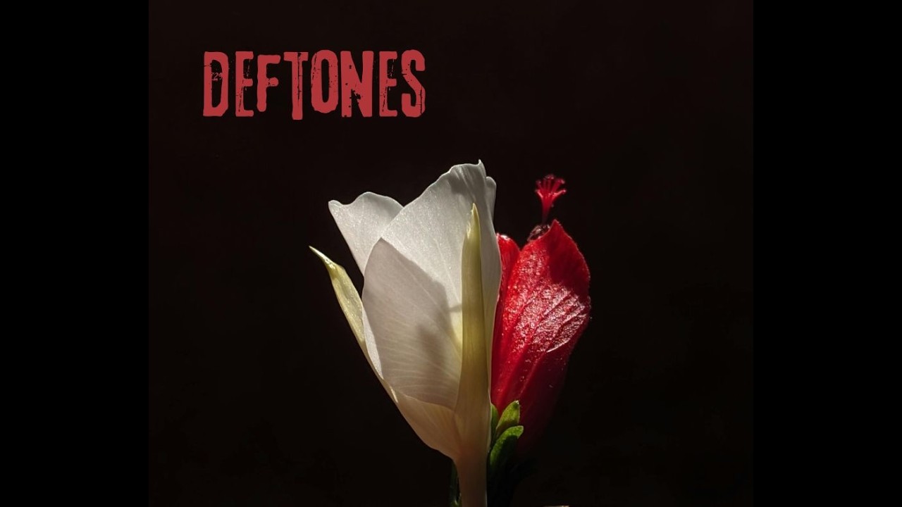 Why Deftones Sound Heavy in Different Ways