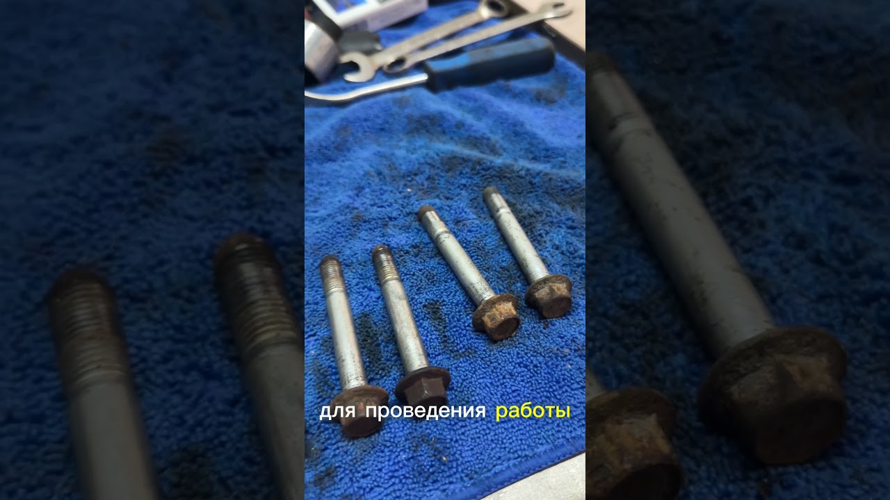 6/365 JDM в возрасте требует правильного подхода