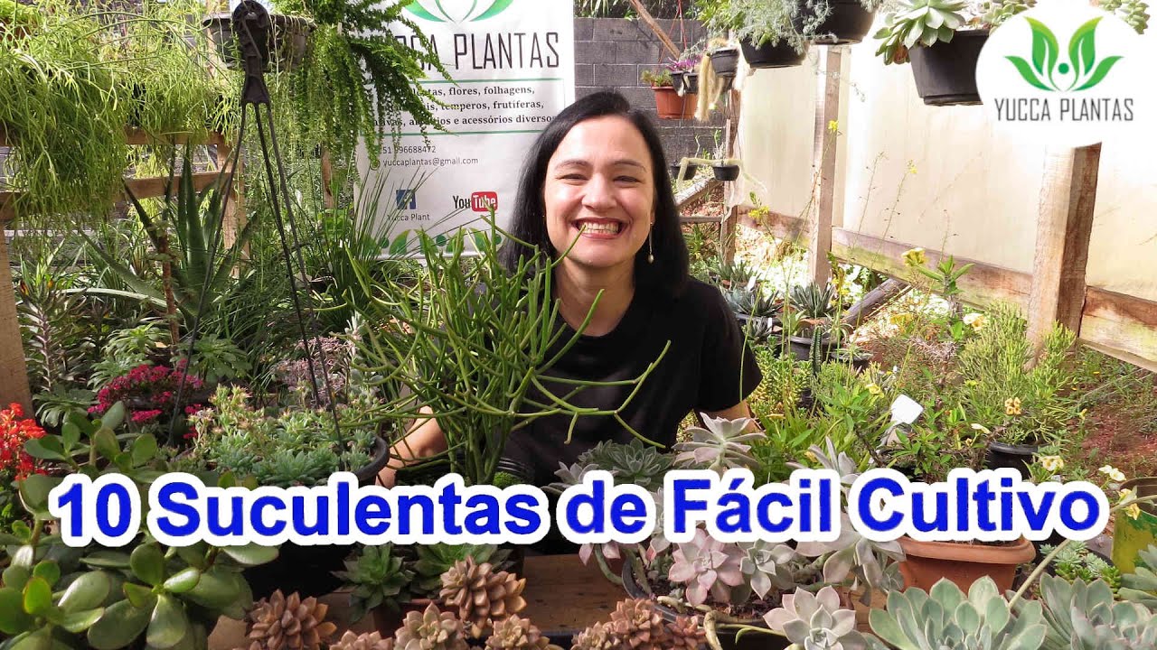 10 Suculentas de Fácil Cultivo