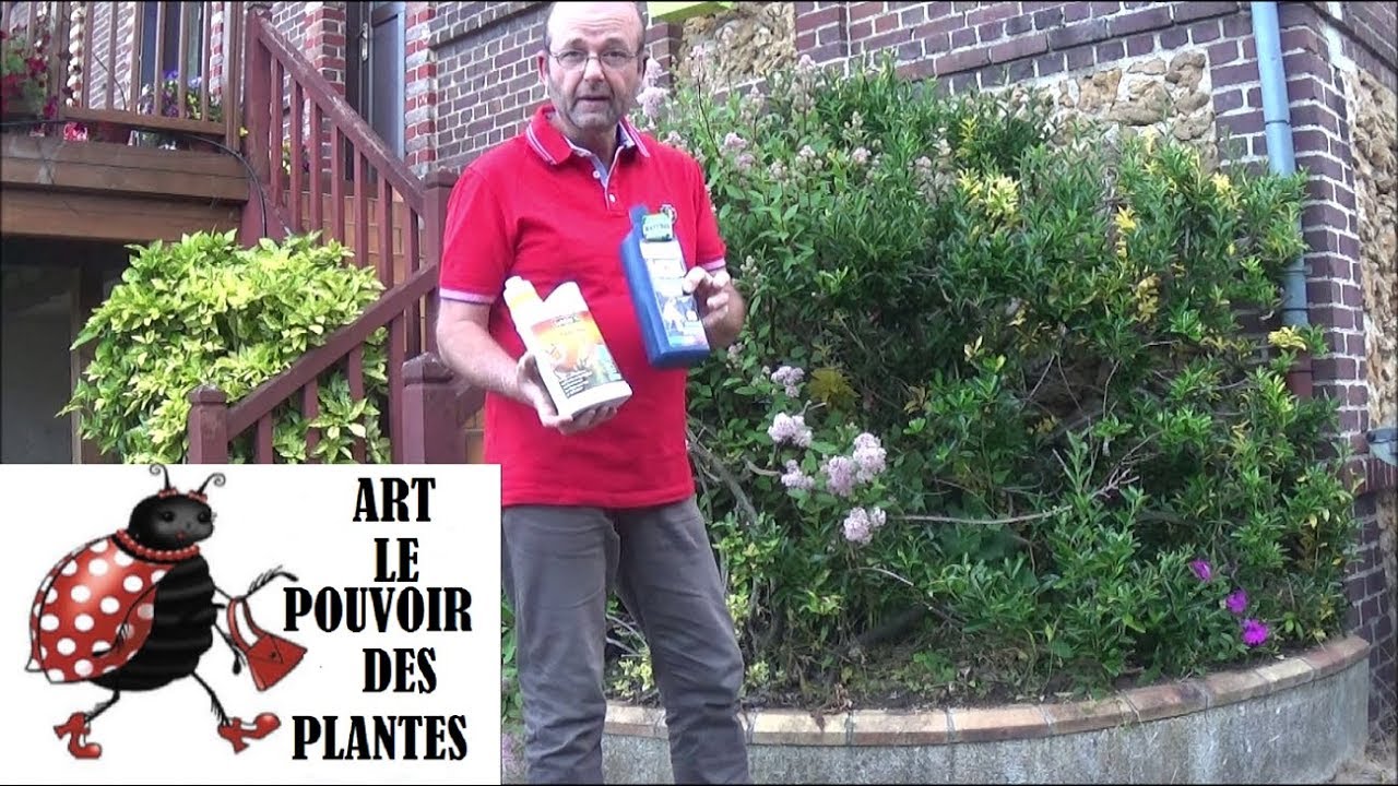 Tuto jardin: Utilisation du savon noir comme insecticide