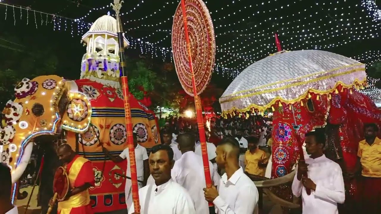 katharagama perahara elephants /Kataragama Perahera or Festival in Sri Lanka/ ceylon elephant