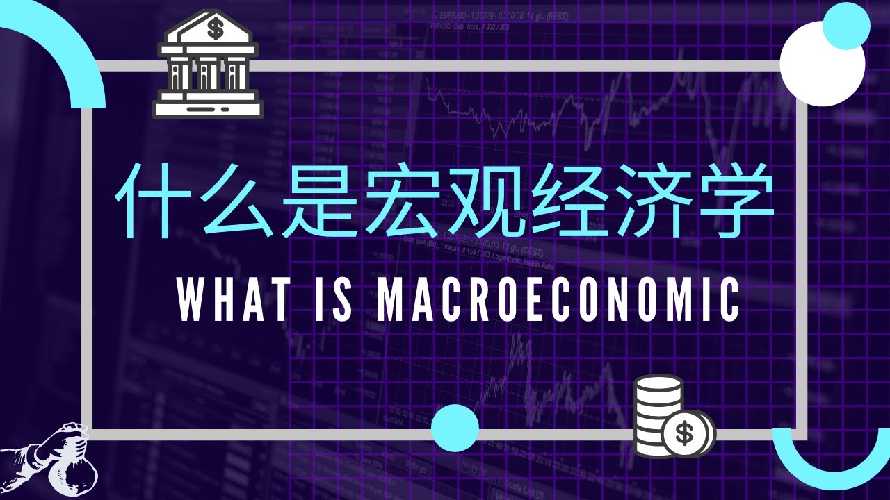 【经济学课程】 第十一课 || 什么是Macroeconomics 宏观经济学?