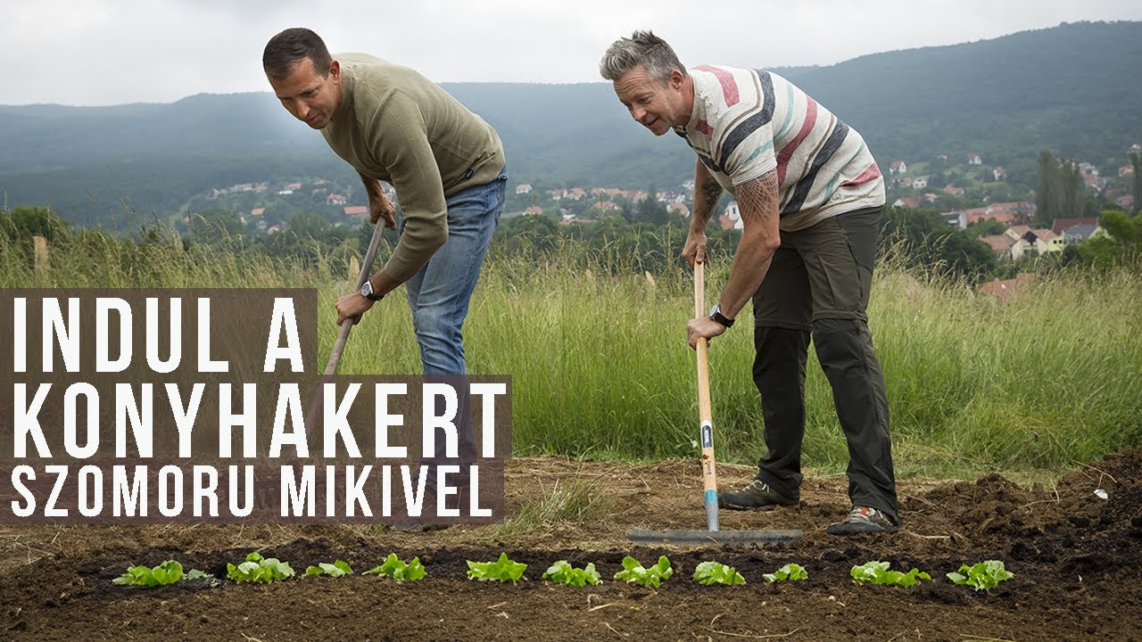 Indul a konyhakert Szomoru Mikivel | kert TV