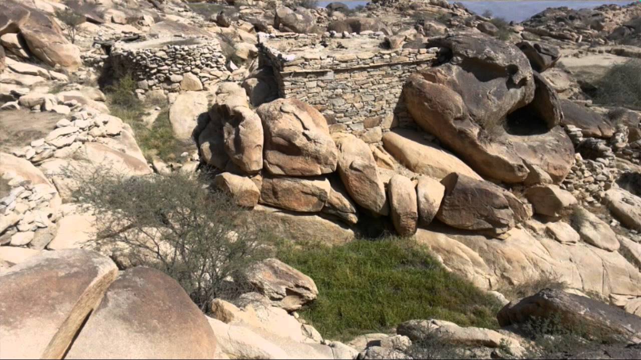 فديو جبل عفف عام 1437هـ