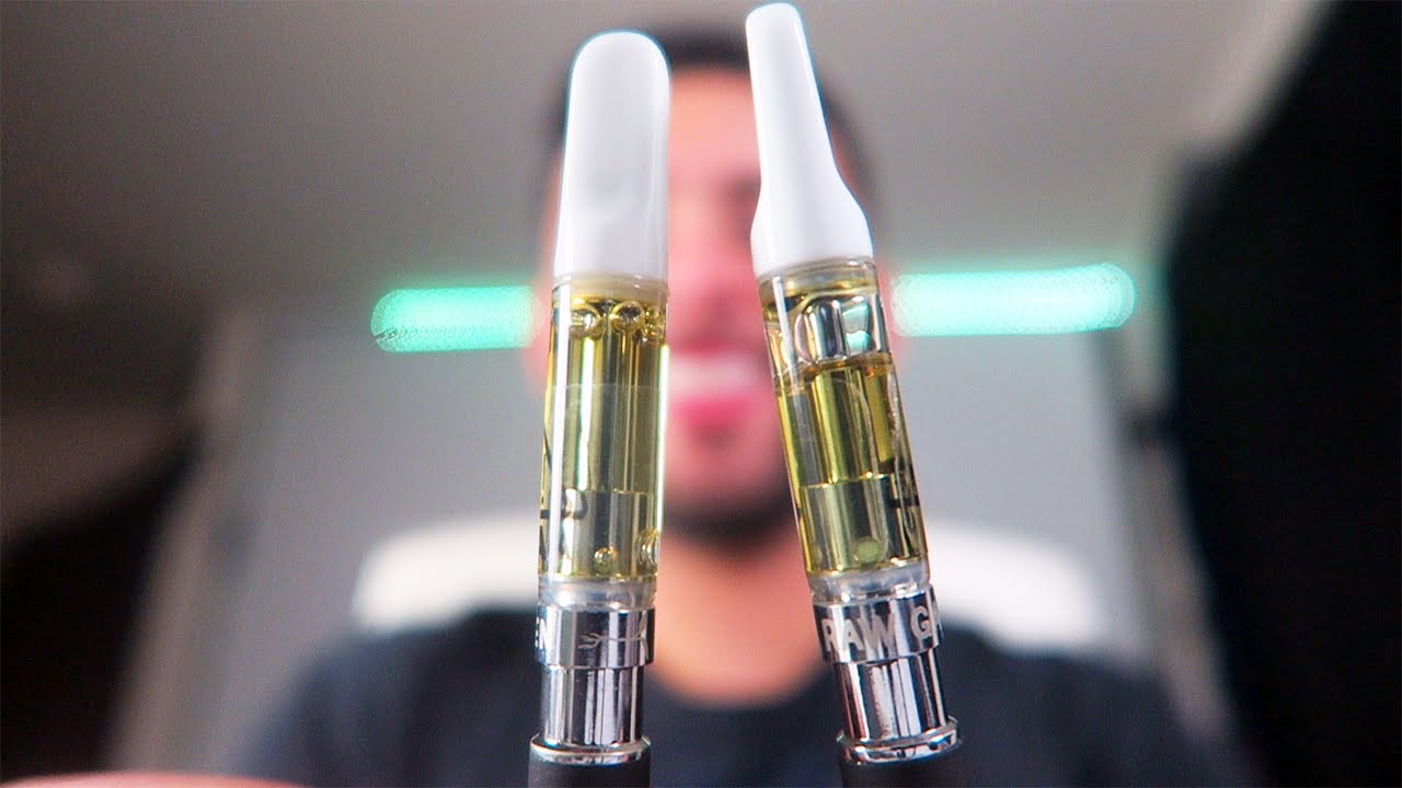 2 RAW GARDEN CARTRIDGES IN 1 SITTING!