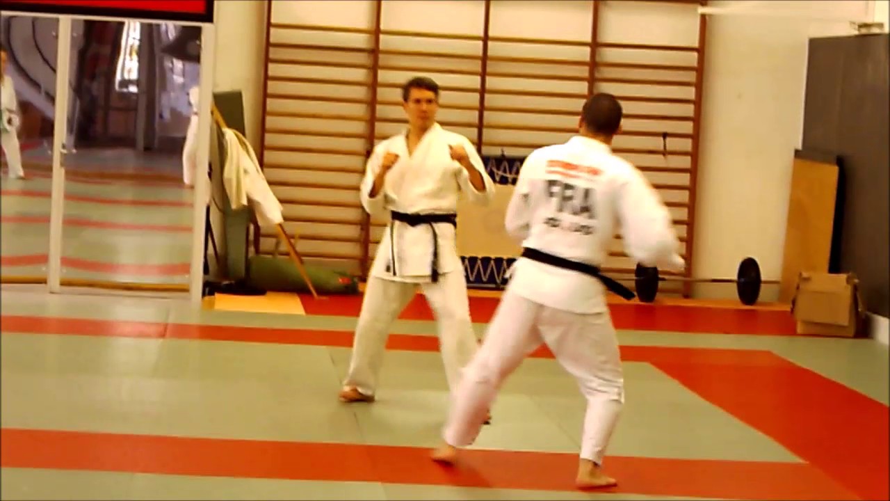 Jujitsu fighting Sébastien Sanesi 