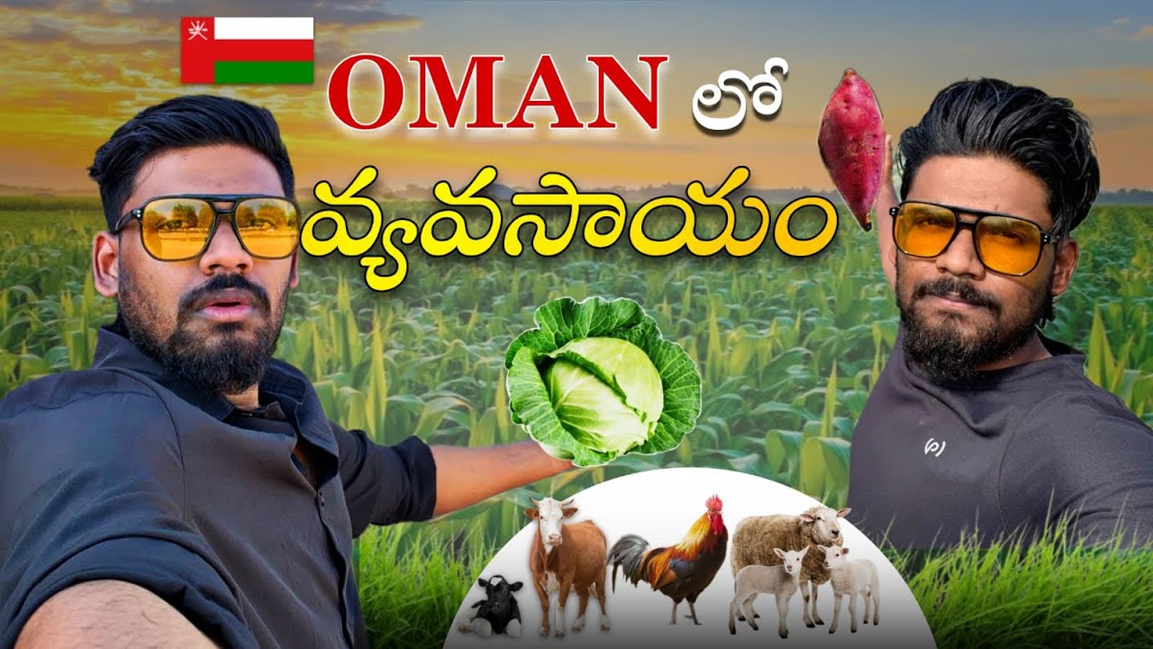 Oman Farming Reality 😲 | 🇴🇲 Desert lo Pantalu Ela Perugutunnayi?