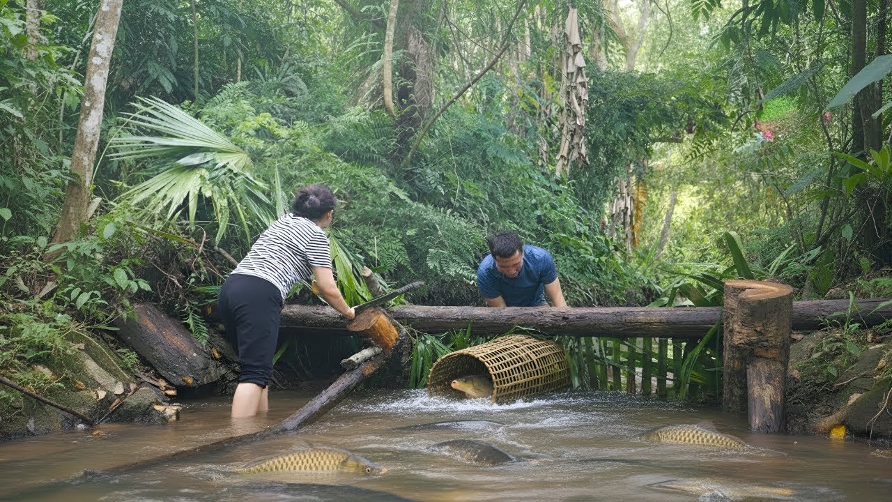 Making fish traps from natural materials - Husband shows off his cooking skills for the family