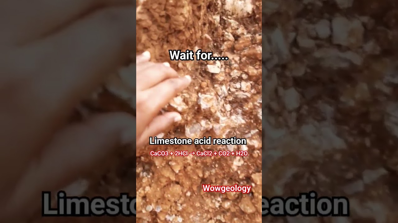 Acid on Limestone #shorts #acid #experiment #youtubeshorts #viral #shortvideo #rock #limestone #wow