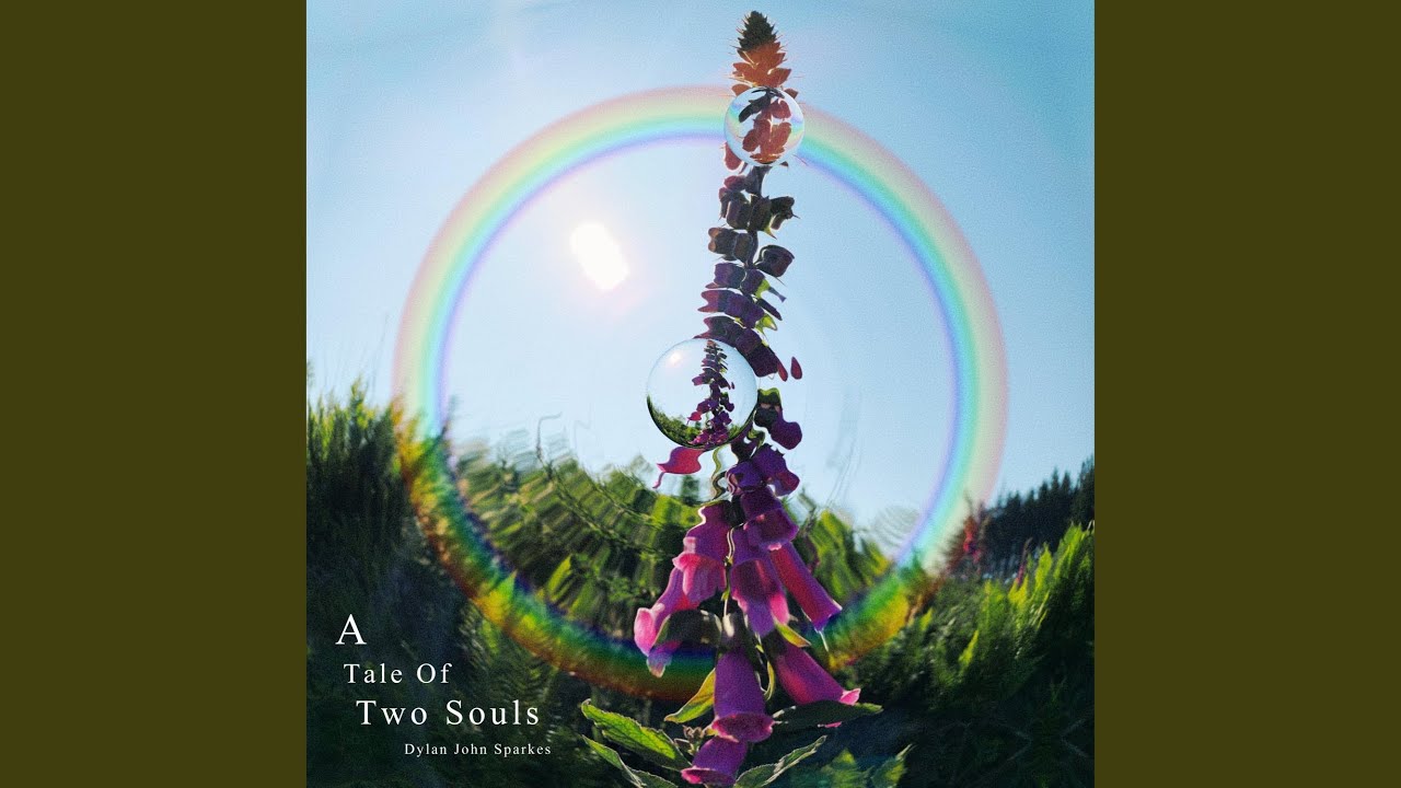 A Tale Of Two Souls