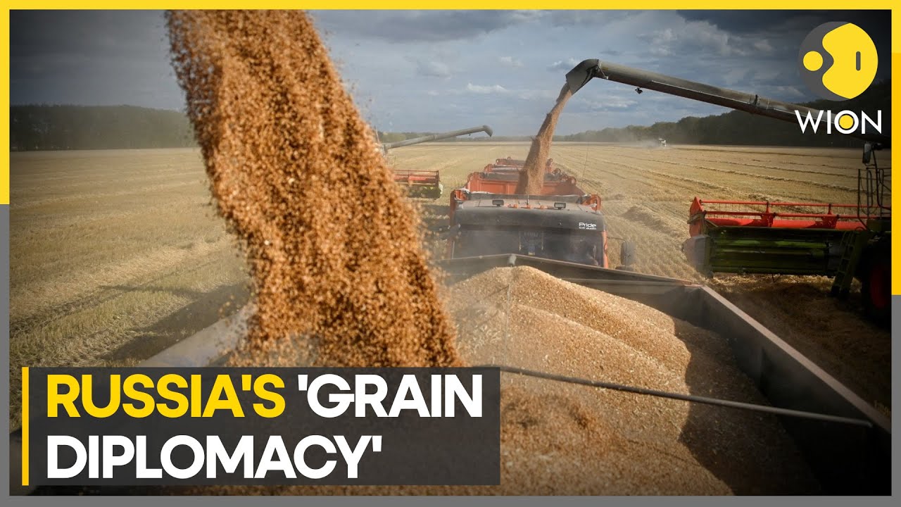 Russia to offer cheaper grain to allies | World Business Watch
