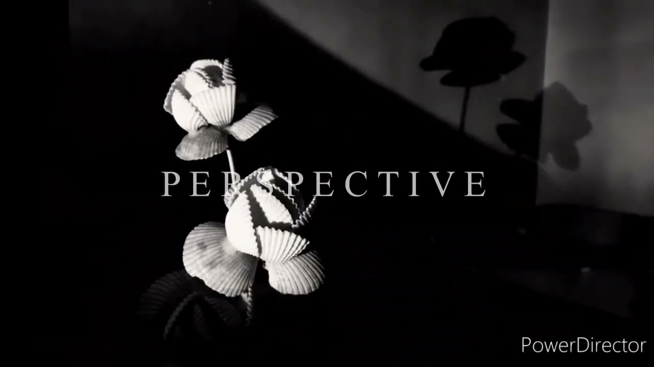 Perspective | Micro Short Film | Trailer | 2020