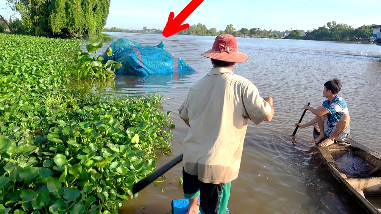 Giăng Lưới Trên Sông Gặp “CÁI BAO NÀY” Trôi – GHÊ QUÁ! Sông Huyền Bí ĐẦY CÁ