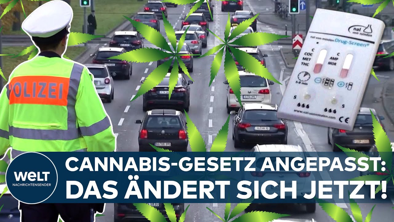 CANNABIS-GESETZ ANGEPASST: Neuer THC-Grenzwert im Stra&szlig;enverkehr und Regeln f&uuml;r Social-Clubs