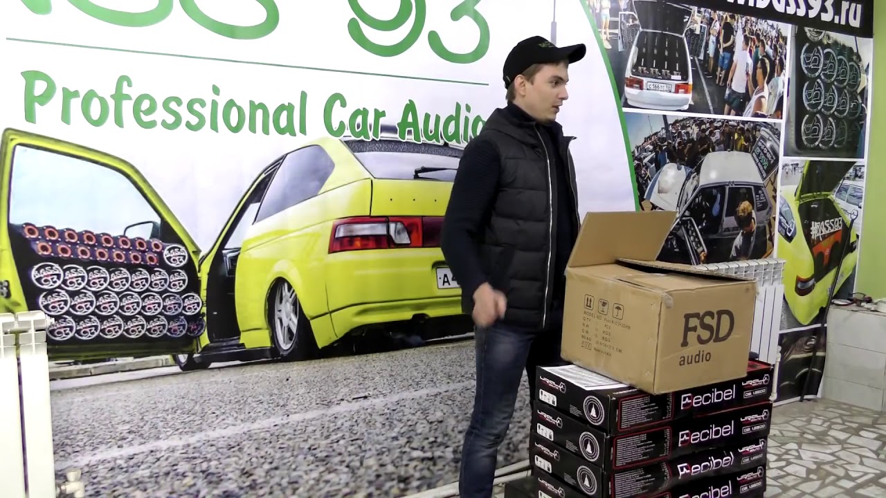 Обзор Сабвуфера FSD audio PROFI R12