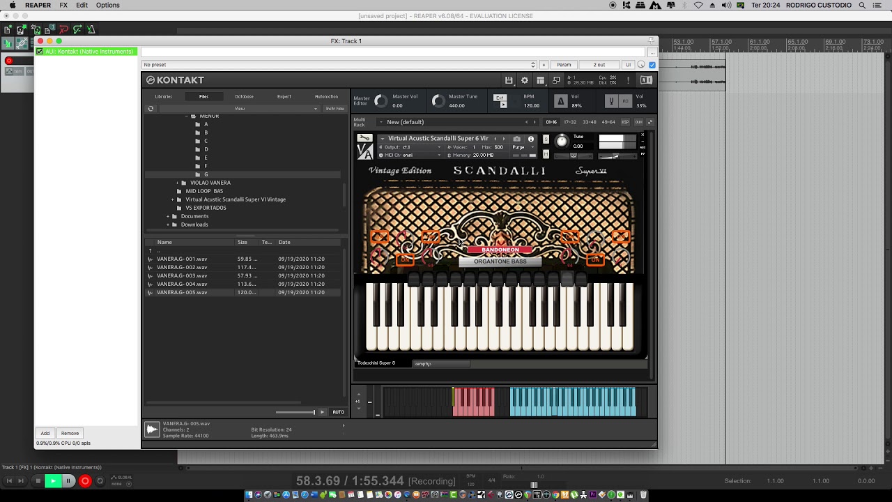 SAMPLER DE ACORDEON TOP