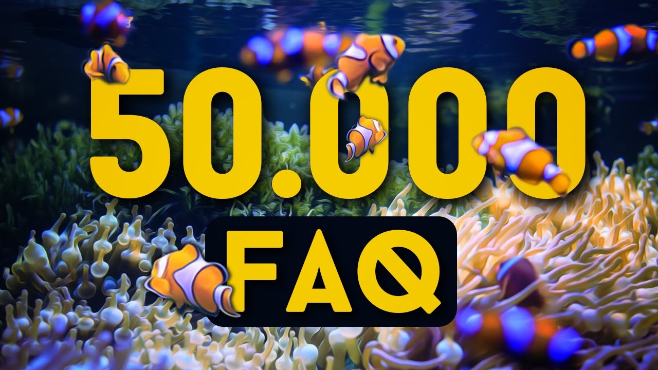 Question / R&eacute;ponse Plong&eacute;e ! La FAQ des 50.000 abonn&eacute;es !