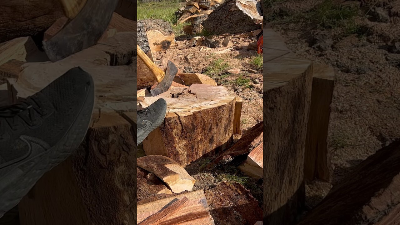 Is your wood hard to split? Try this! #oak #axeman #firewood #MMA #buckinexperience #UFC
