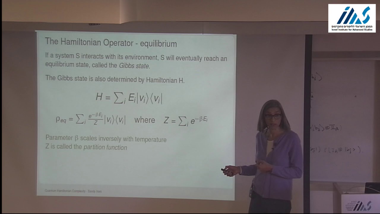 Hamiltonian Complexity I - Sandy Irani