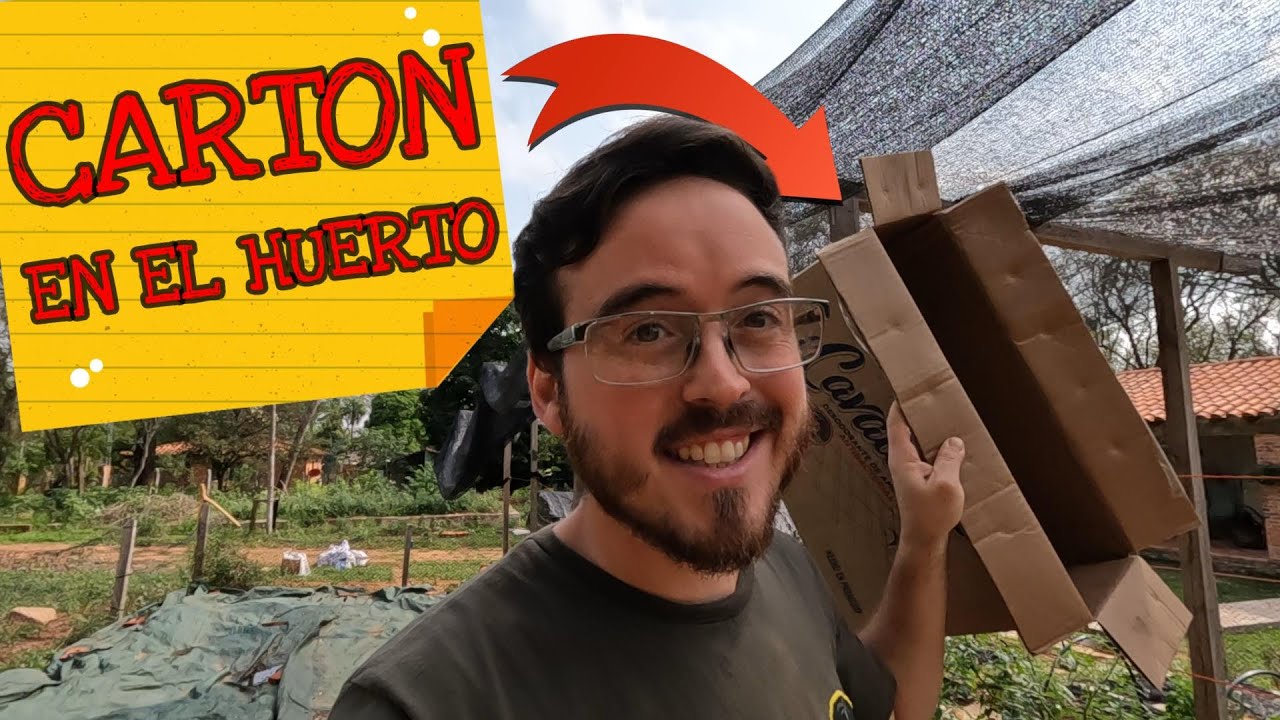 EL CARTON en la HUERTA vale ORO!