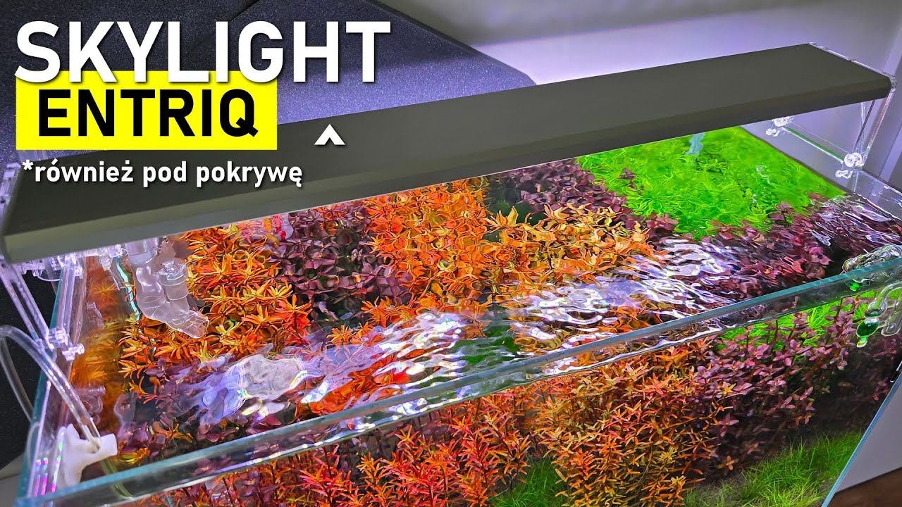 SkyLight Entriq - Lampy do Akwarium